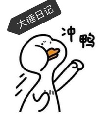 大锤日记