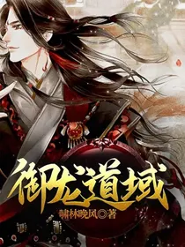 御龙道域