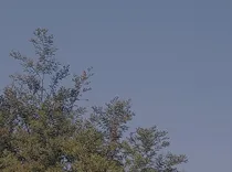 漂泊是为了正真面对空虚