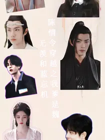 陈情令穿越之我爹是魏无羡和蓝忘机