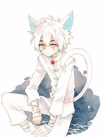 京剧猫学校里日记