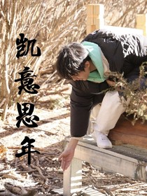 凯意思年