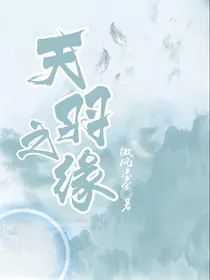 天羽之缘