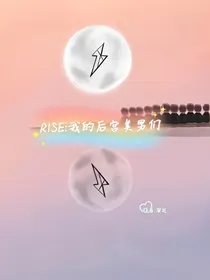 R1SE：我的后宫美男们