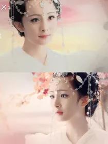 凤凰和九尾白狐的爱情故事