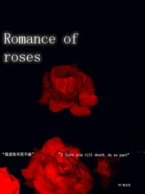 BTS：玫瑰花的罗曼史