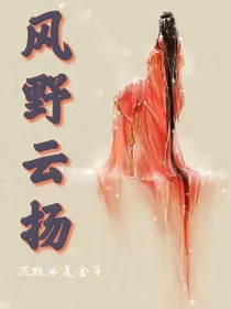 风野云扬