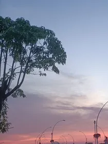 满天星的十七岁