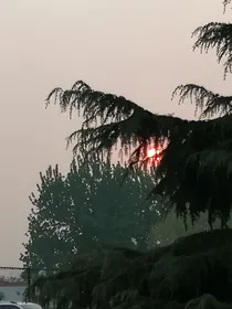 为你撑伞的他