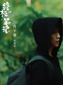 终极笔记：真真假假亦真