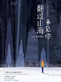 翻过山海来见你