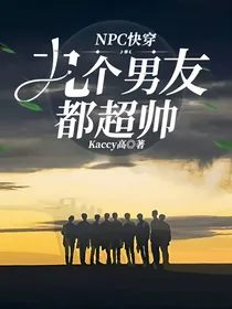 NPC快穿：九个男友都超帅