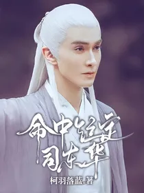 命中注定司东华