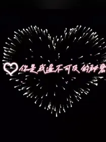你是我遥不可及的秘密