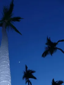 快穿之只为你而做