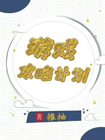 游戏攻略计划