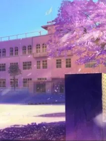 二元一次的方程