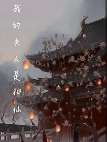 我的夫人是神仙