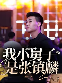 赵睿：我小舅子是张镇麟
