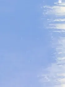 鹿母