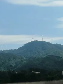 宇尊