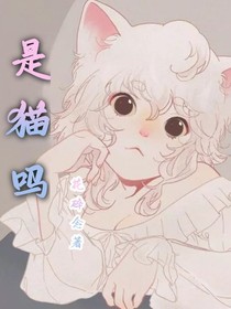 是猫吗