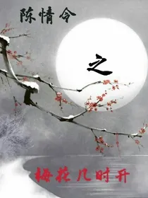 陈情令之梅花几时开