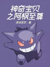 神奇宝贝之阿枫至尊