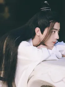 陈情令之盛明兰