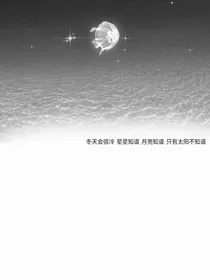 星月交辉：淮书有棠
