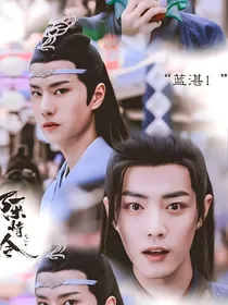 陈情令之蓝三小姐清允