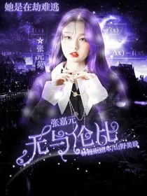 张嘉元：无与伦比