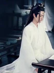 陈情令之浅思