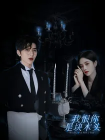 青你2：我恨你是块木头