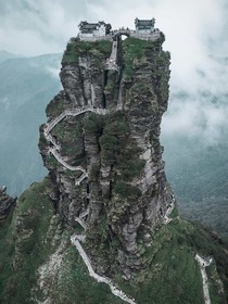 唐门之星月狐