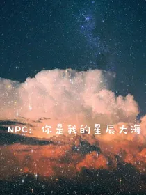 NPC：你是我的星辰大海