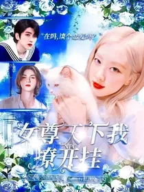 NPC：女尊天下我撩开挂