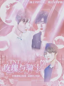TNT玫瑰与骑士