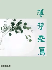 薄荷飞鸟