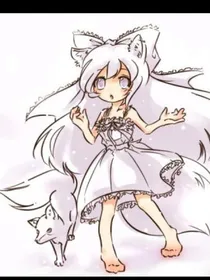完美妖狐后养成记