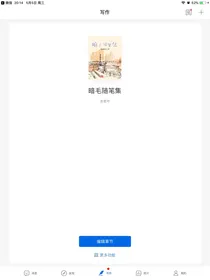 暗毛随笔集