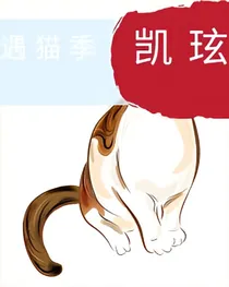 遇猫季