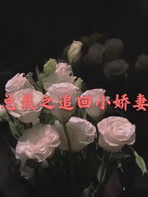 总裁之追回小娇妻