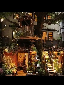 奔跑吧！（治愈花店）