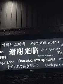重生之一生挚爱