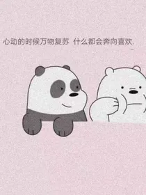 沈慕星辰