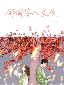 偷偷落入星辰