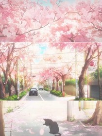 花诺