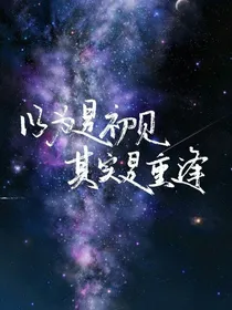 重逢之绝密档案