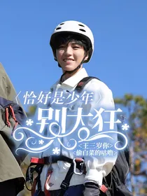 恰好是少年：王三岁你别太狂